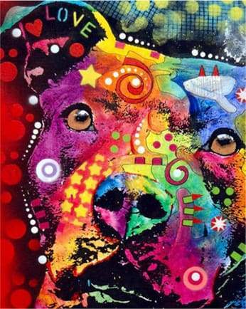 paint by numbers | Colorful Dog | advanced animals dogs Pop Art | FiguredArt
