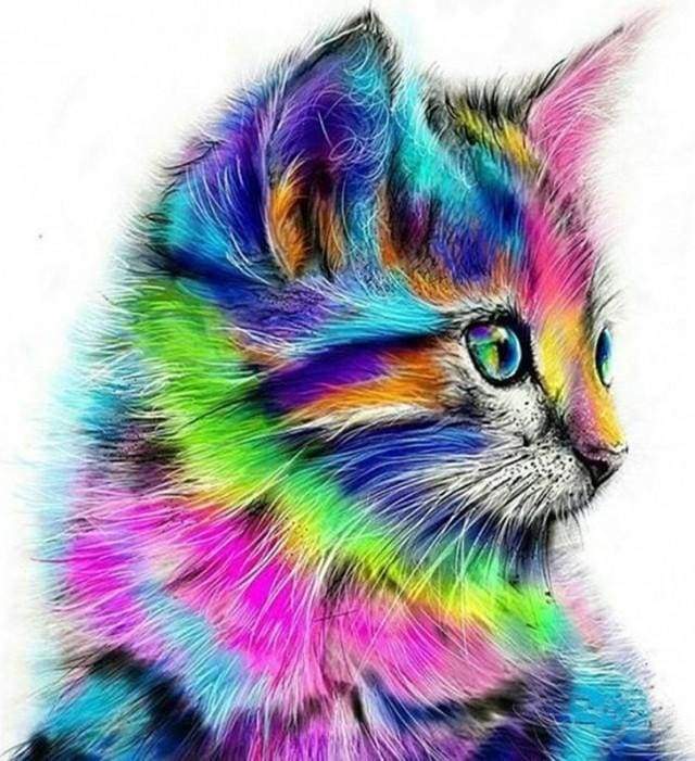 paint by numbers | Colorful Kitten | advanced animals cats Pop Art | FiguredArt
