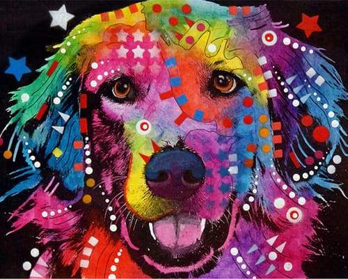 paint by numbers | Colorful Labrador | advanced animals Pop Art | FiguredArt