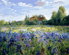 Load image into Gallery viewer, paint by numbers | Countryside field and Blue Flowers | advanced landscapes | FiguredArt