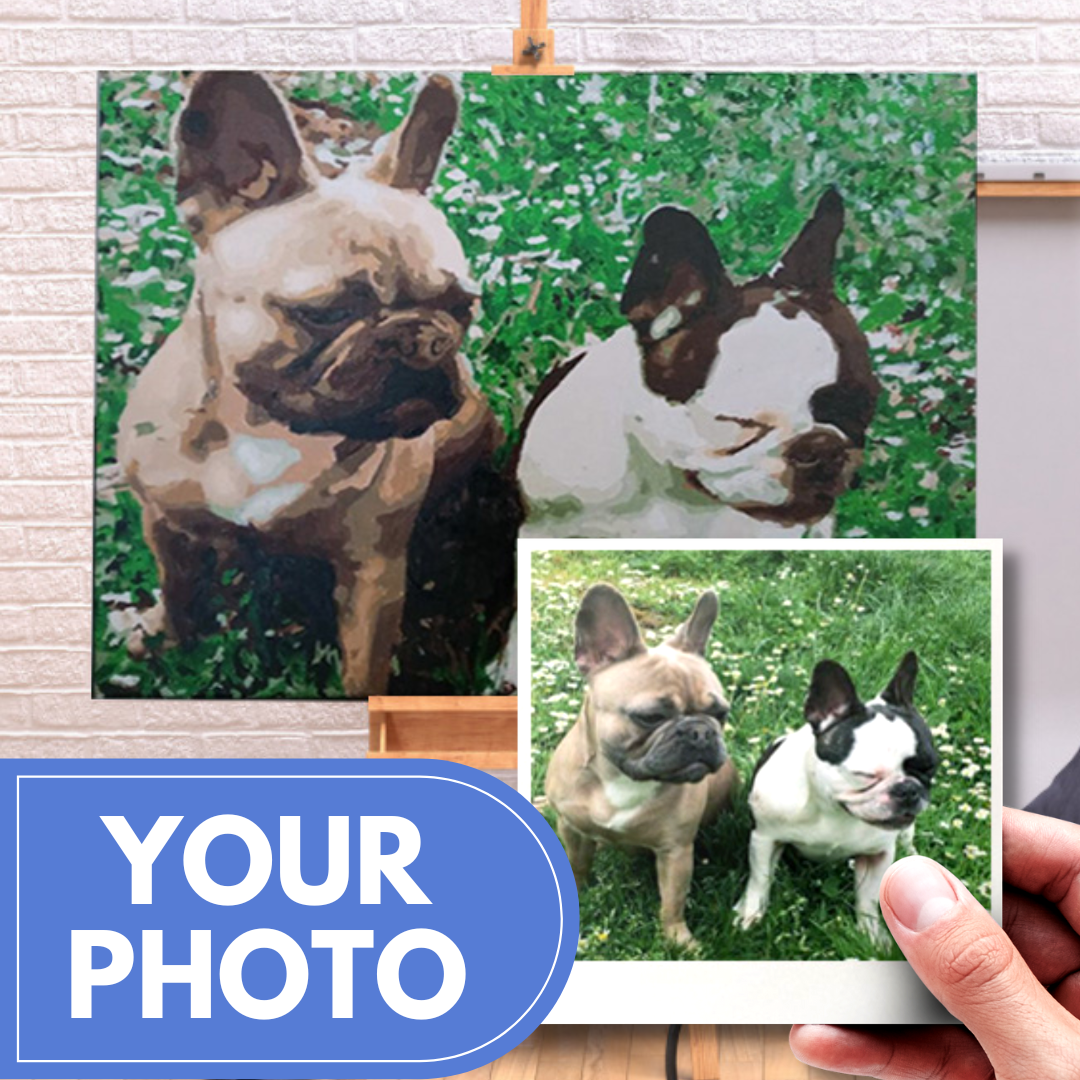 Custom Photo Paint-by-Numbers Kits - Create Your Own Work of Art