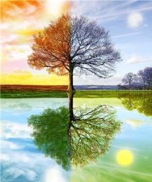 Diamond Painting | Diamond Painting - 4 Seasons Tree 2 | Diamond Painting Landscapes landscapes trees | FiguredArt