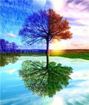 Diamond Painting | Diamond Painting - 4 Seasons Tree | Diamond Painting Landscapes landscapes trees | FiguredArt