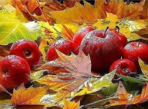 Diamond Painting | Diamond Painting - Apples in Autumn | Diamond Painting Landscapes landscapes | FiguredArt