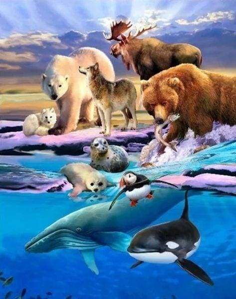 Diamond Painting | Diamond Painting - Arctic Animals | animals Diamond Painting Animals | FiguredArt