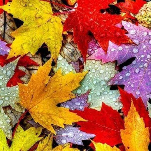 Diamond Painting | Diamond Painting - Autumn Leaves | Diamond Painting Landscapes landscapes | FiguredArt