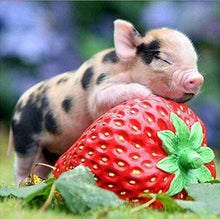 Load image into Gallery viewer, Diamond Painting | Diamond Painting - Baby Pig and Strawberry | animals Diamond Painting Animals | FiguredArt