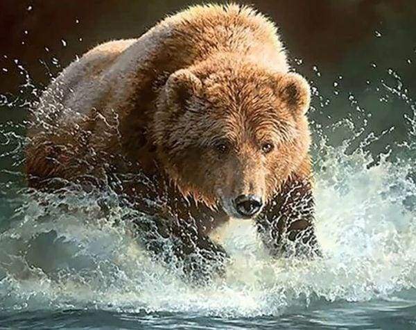 Diamond Painting | Diamond Painting - Bear in the River | animals bear Diamond Painting Animals | FiguredArt