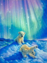 Load image into Gallery viewer, Diamond Painting | Diamond Painting - Bears and Northern Lights | animals bear Diamond Painting Animals | FiguredArt