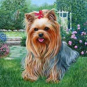 Diamond Painting | Diamond Painting - Bichon Maltese Dog | animals Diamond Painting Animals dogs | FiguredArt