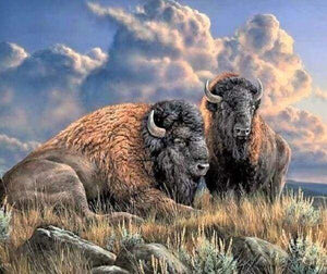 Diamond Painting | Diamond Painting - Bison | animals bisons and yaks Diamond Painting Animals | FiguredArt