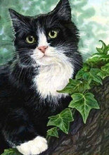 Load image into Gallery viewer, Diamond Painting | Diamond Painting - Black and white Cat | animals cats Diamond Painting Animals | FiguredArt