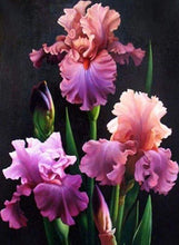 Load image into Gallery viewer, Diamond Painting | Diamond Painting - Blooming Iris | Diamond Painting Flowers flowers | FiguredArt