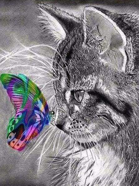 Diamond Painting - Cat and Butterfly colorful