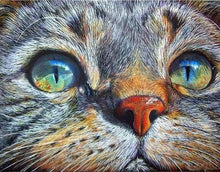 Load image into Gallery viewer, Diamond Painting | Diamond Painting - Cat Face | animals cats Diamond Painting Animals | FiguredArt