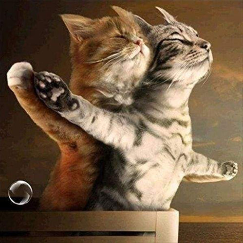 Diamond Painting | Diamond Painting - Cats Titanic | animals cats Diamond Painting Animals | FiguredArt