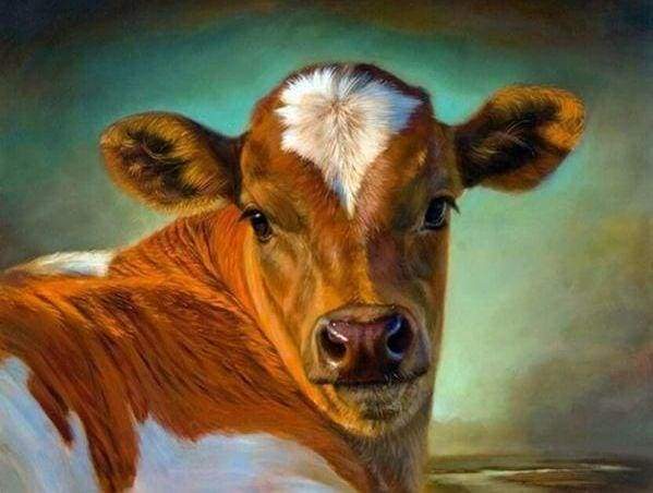 Diamond Painting | Diamond Painting - Cow | animals cows Diamond Painting Animals | FiguredArt