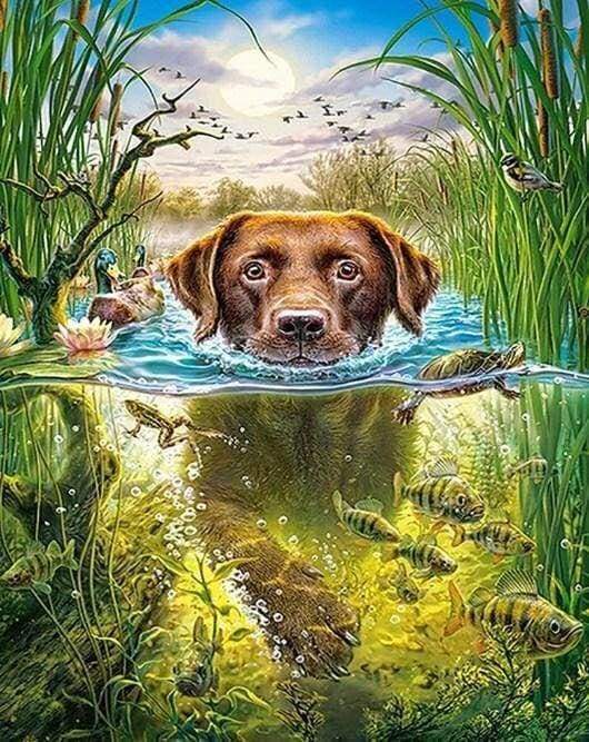 Diamond Painting - Dog in the stream
