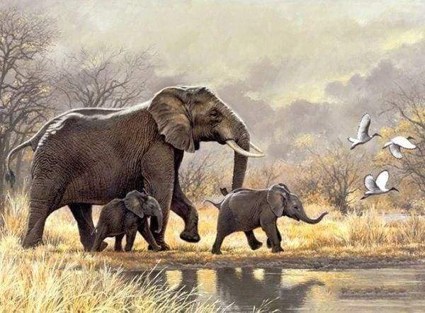 Diamond Painting, Elephant in the river