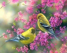 Load image into Gallery viewer, Diamond Painting | Diamond Painting - Flowering branch on Birds | animals birds Diamond Painting Animals | FiguredArt