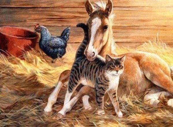 Diamond Painting | Diamond Painting - Foal and Cat | animals Diamond Painting Animals | FiguredArt