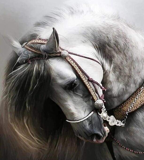 Diamond Painting | Diamond Painting - Great Horse | animals Diamond Painting Animals horses | FiguredArt