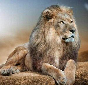 Diamond Painting | Diamond Painting - Great Lion | animals Diamond Painting Animals lions | FiguredArt