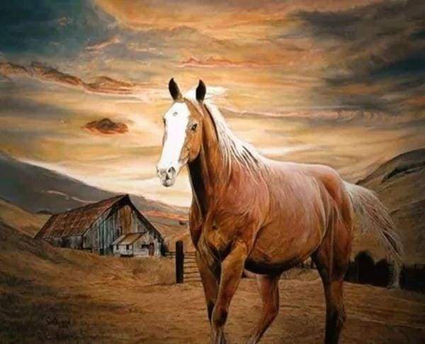 Diamond Painting | Diamond Painting - Horse at Dusk | animals Diamond Painting Animals horses | FiguredArt