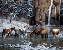 Load image into Gallery viewer, Diamond Painting | Diamond Painting - Horses in the river | animals Diamond Painting Animals Diamond Painting Landscapes horses landscapes |