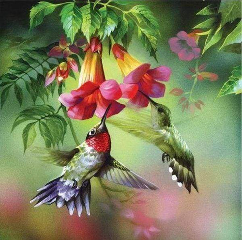 Diamond Painting | Diamond Painting - Hummingbirds | animals Diamond Painting Animals | FiguredArt