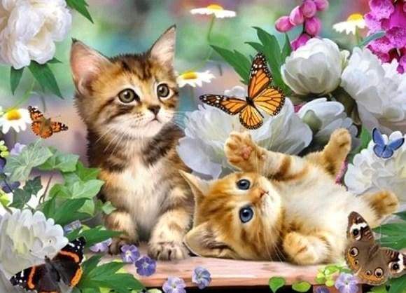 Diamond Painting - Cat and Butterfly colorful – Figured'Art