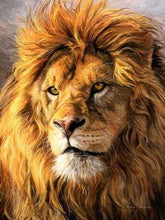 Load image into Gallery viewer, Diamond Painting | Diamond Painting - Lion | animals Diamond Painting Animals lions | FiguredArt