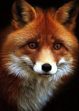 Load image into Gallery viewer, Diamond Painting | Diamond Painting - Little Fox | animals Diamond Painting Animals foxes | FiguredArt