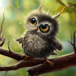 Diamond Painting | Diamond Painting - Little Owl | animals Diamond Painting Animals owls | FiguredArt
