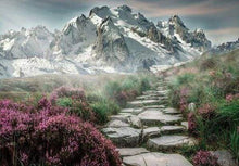 Load image into Gallery viewer, Diamond Painting | Diamond Painting - Mountain Path | Diamond Painting Landscapes landscapes mountains | FiguredArt