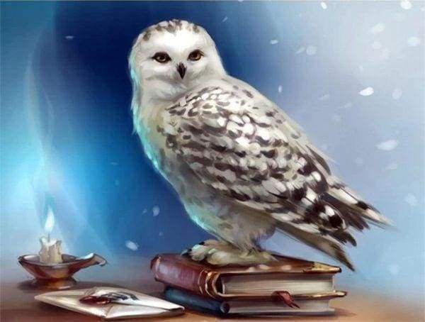 Diamond Painting - Owl and Book – Figured'Art