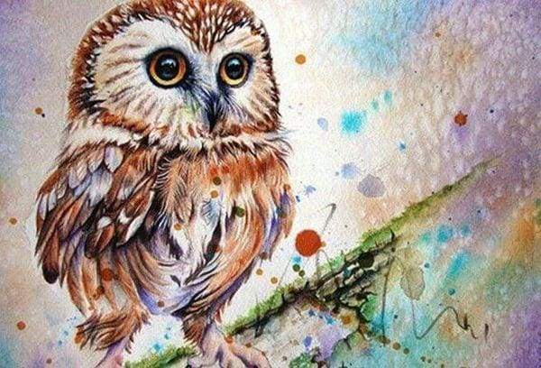 Diamond Painting - Owl and Book – Figured'Art