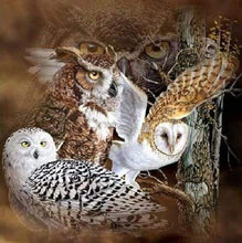 Load image into Gallery viewer, Diamond Painting | Diamond Painting - Owls | animals Diamond Painting Animals owls | FiguredArt