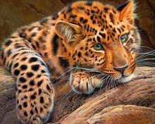 Load image into Gallery viewer, Diamond Painting | Diamond Painting - Panther | animals Diamond Painting Animals panthers | FiguredArt