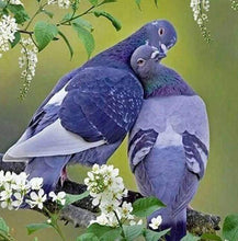 Load image into Gallery viewer, Diamond Painting | Diamond Painting - Pigeons in love | animals Diamond Painting Animals | FiguredArt