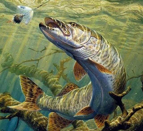 Diamond Painting | Diamond Painting - Pike Fish | animals Diamond Painting Animals fish | FiguredArt