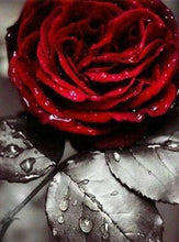 Load image into Gallery viewer, Diamond Painting | Diamond Painting - Red Rose | Diamond Painting Flowers flowers | FiguredArt