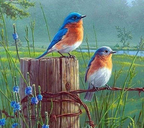 Diamond Painting | Diamond Painting - Small Birds | animals birds Diamond Painting Animals | FiguredArt