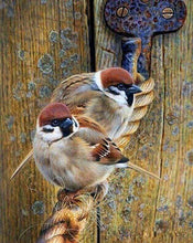 Load image into Gallery viewer, Diamond Painting | Diamond Painting - Sparrows on a Rope | animals Diamond Painting Animals | FiguredArt