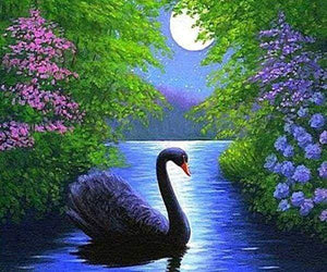 Diamond Painting | Diamond Painting - Swan | animals birds Diamond Painting Animals swans | FiguredArt