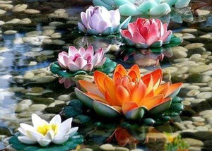Diamond Painting | Diamond Painting - Water lilies in Color | Diamond Painting Flowers flowers | FiguredArt