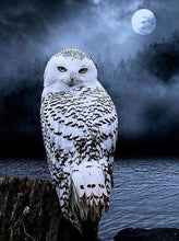 Load image into Gallery viewer, Diamond Painting Framed - White Owl