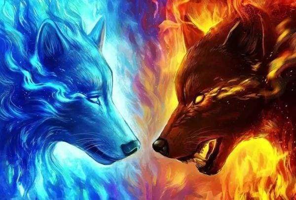 Diamond Painting - Wolves Ready to Fight – Figured'Art