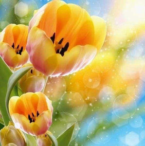 Diamond Painting | Diamond Painting - Yellow tulips | Diamond Painting Flowers flowers | FiguredArt