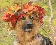Load image into Gallery viewer, paint by numbers | Dog In Autumn | advanced animals dogs | FiguredArt
